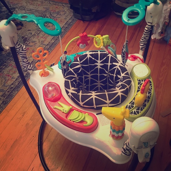 Fisher price bouncer